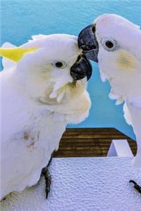 A Pair of Cockatoo Parrots on a Boat Journal