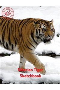 Siberian Tiger Sketchbook
