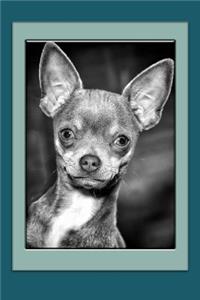 Chihuahua Notebook