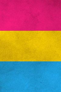 Pansexual Pride Flag Notebook