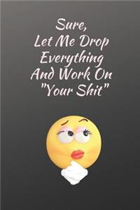 Let Me Drop Everything and Work on Your Shit