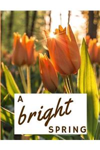 A Bright Spring