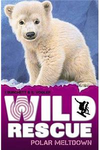 Polar Meltdown