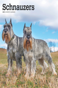 Schnauzers 2025 Square Wrap