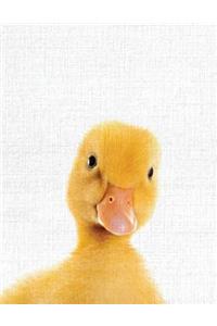Cute Animal Composition Book Duck