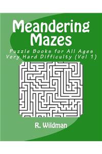 Meandering Mazes