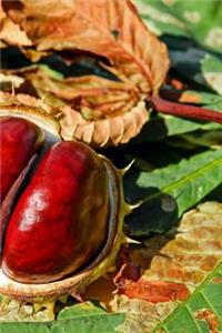 Chestnuts Notebook