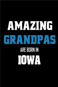 Amazing Grandpas Are Born In Iowa