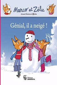 Marco Et Z'Lie. G'Nial, Il a Neig' !