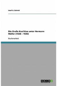 Große Koalition unter Hermann Müller (1928 - 1930)