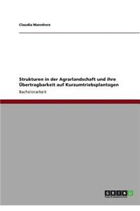 Strukturen in der Agrarlandschaft und ihre Übertragbarkeit auf Kurzumtriebsplantagen