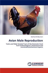 Avian Male Reproduction