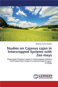 Studies on Cajanus Cajan in Intercropped Systems with Zea Mays