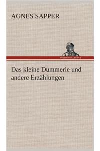 Das kleine Dummerle und andere Erzählungen