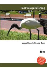 Ibis
