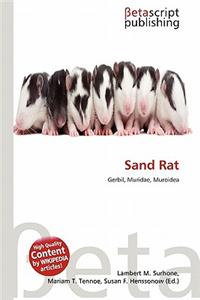Sand Rat