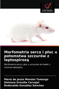 Morfometria serca i pluc u potomstwa szczurów z leptospiroz&#261;