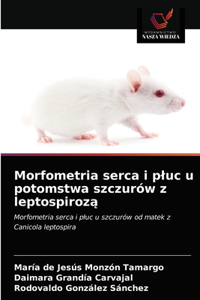 Morfometria serca i pluc u potomstwa szczurów z leptospiroza