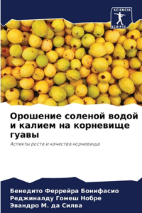 Орошение соленой водой и калием на корневl