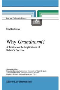 Why Grundnorm?