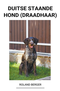Duitse staande hond (draadhaar)