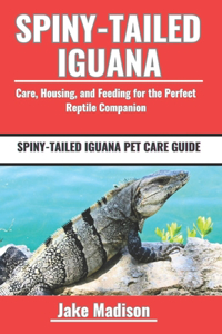 Spiny-Tailed Iguana