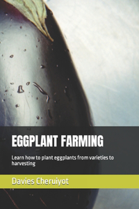 Eggplant Farming