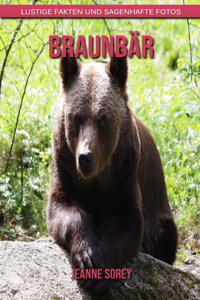 Braunbär
