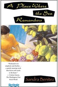 A Place Where the Sea Remembers