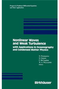 Nonlinear Waves and Weak Turbulence