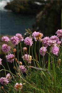 Beautiful Pink Sea Thrift Flowers Journal