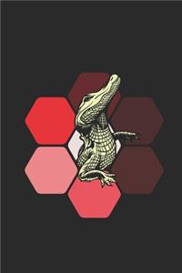 Crocodile Hexagon