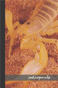 sand scorpion notes