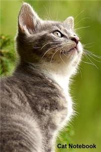 Cat Notebook