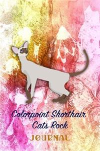 Colorpoint Shorthair Cats Rock