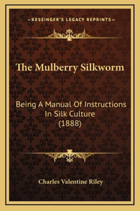 Mulberry Silkworm