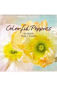Colorful Poppies 2017