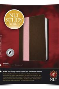 Study Bible-NLT