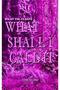 What Shall I Call It?