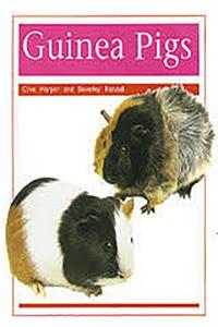Pets: Guinea Pigs