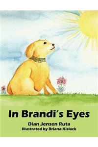 In Brandi's Eyes