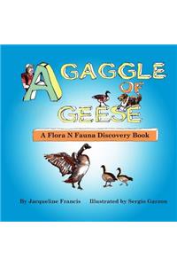 Gaggle of Geese