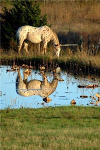 The Appaloosa Horse Journal