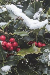 Holly with Snow Journal