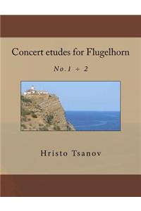 Concert etudes for Flugelhorn