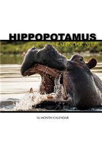 Hippopotamus Calendar 2017