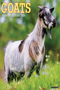 Goats 2024 12 X 12 Wall Calendar