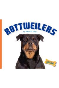 Rottweilers