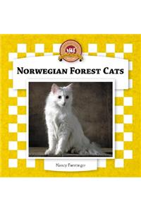 Norwegian Forest Cats