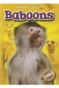Baboons
